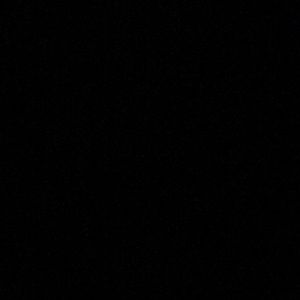 Meet your Posher, Bobby